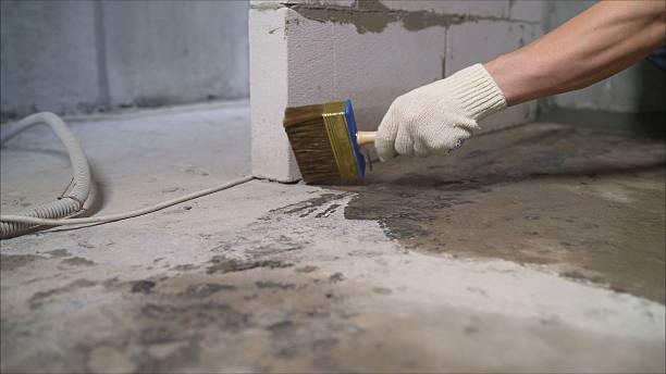 SJ Waterproofing Pros Emergency Waterproofing coverage map for Newton, IL and surrounding area